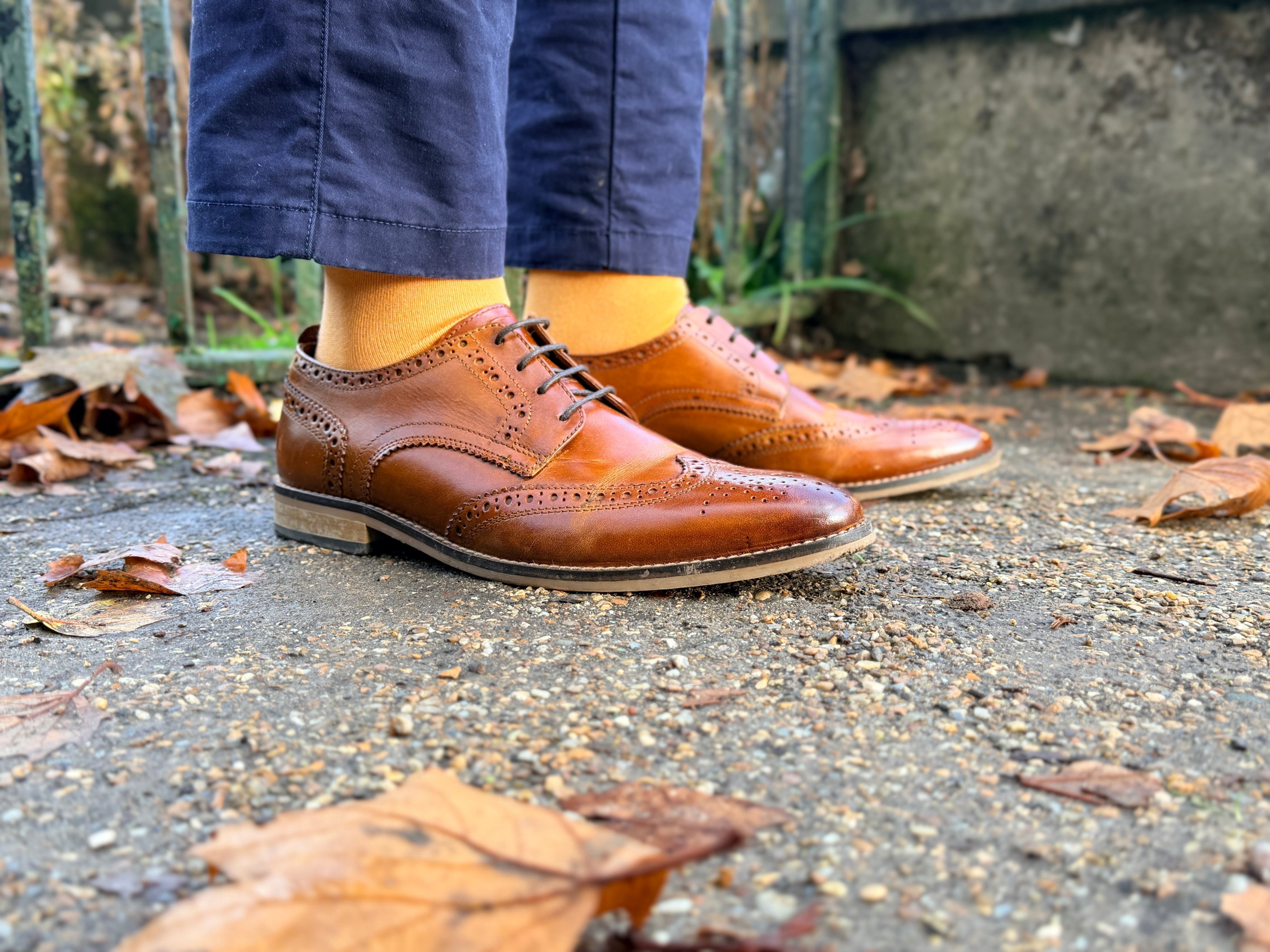 Autumn: The Season of Socks