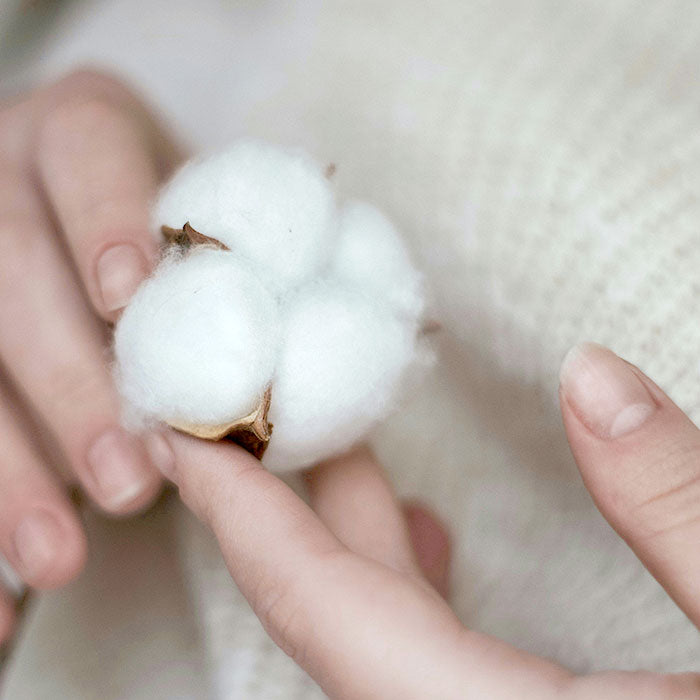 organic-cotton-raw.jpg
