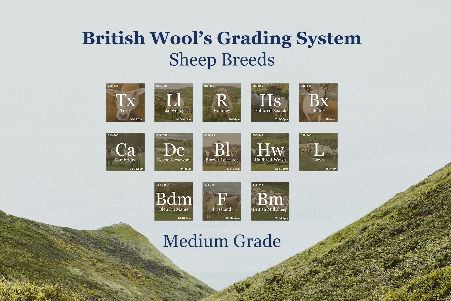 Why We Choose Medium Grade British Wool for Our Socks