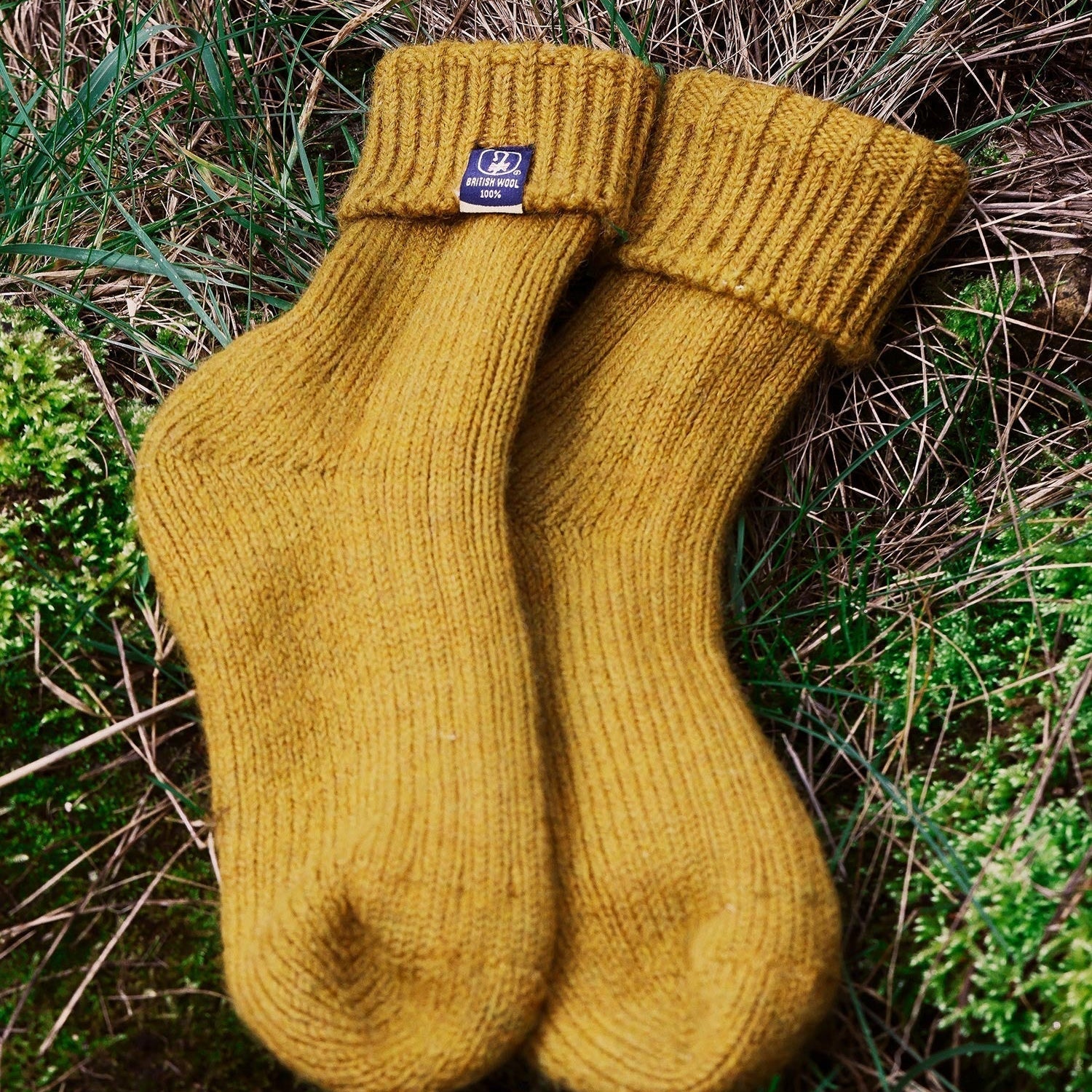 One Pair of Socks Can Change British Farming. Here’s How.