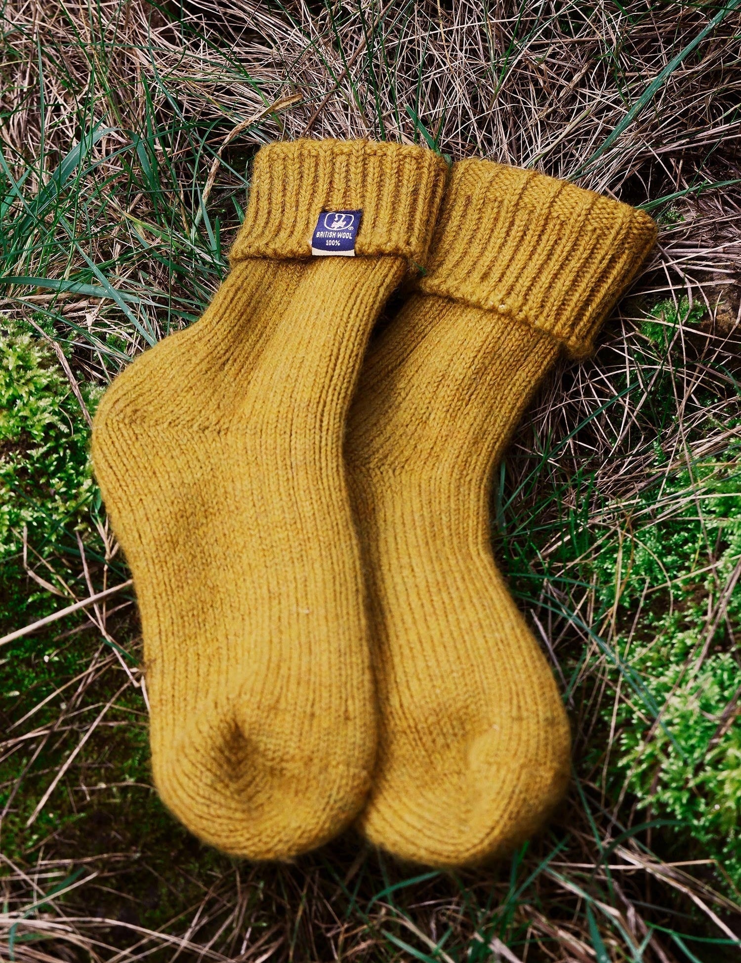 One Pair of Socks Can Change British Farming. Here’s How.