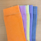 Luxury Plain Colour Socks Neutrals – 5 Pair Gift Set