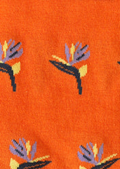 Bird of Paradise (Orange) Premium Pattern Socks | Cotton-Rich Tropical Socks by Jemsox