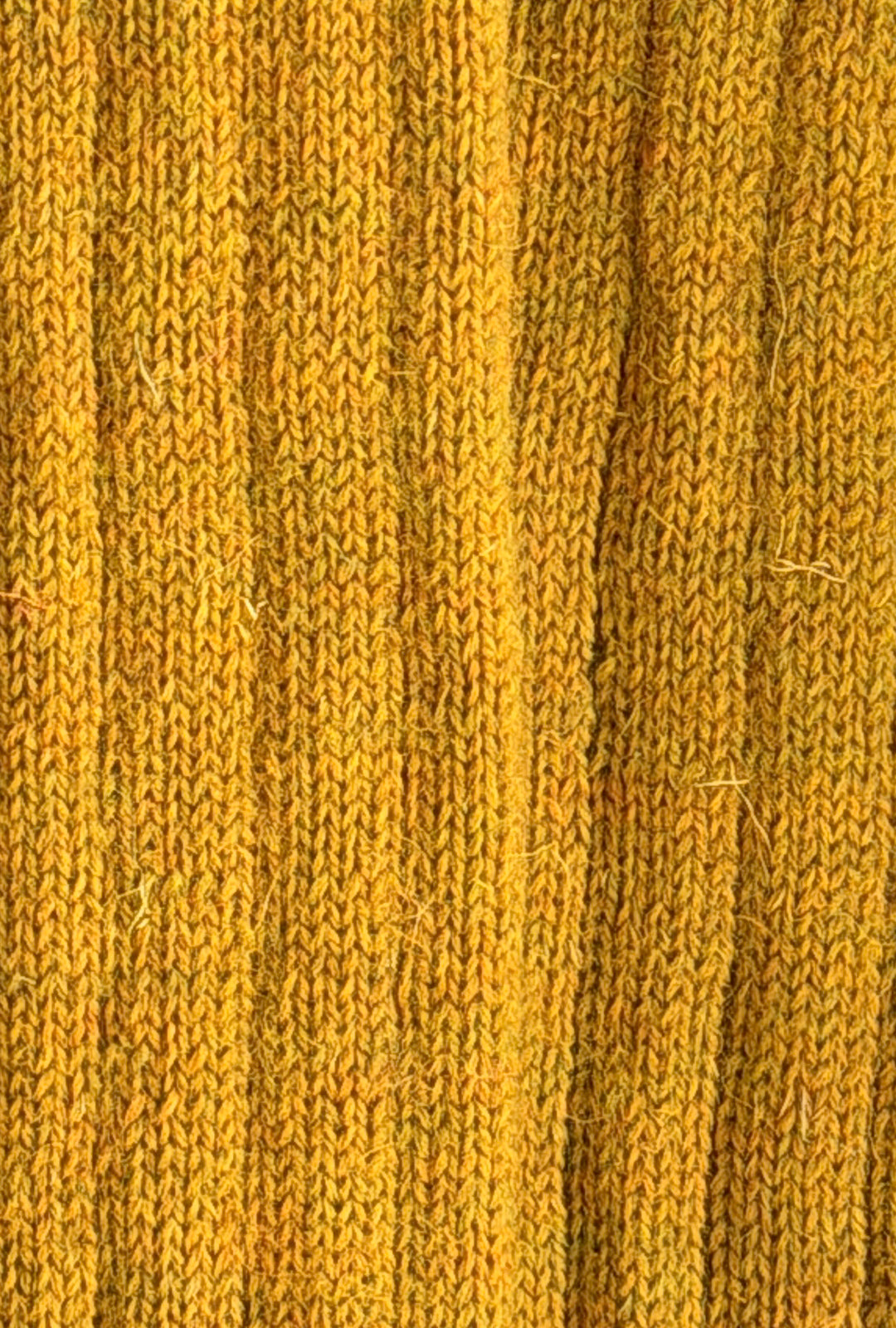 Wellington Boot Socks – Mustard Fields | 100% British Wool | UK 4-7